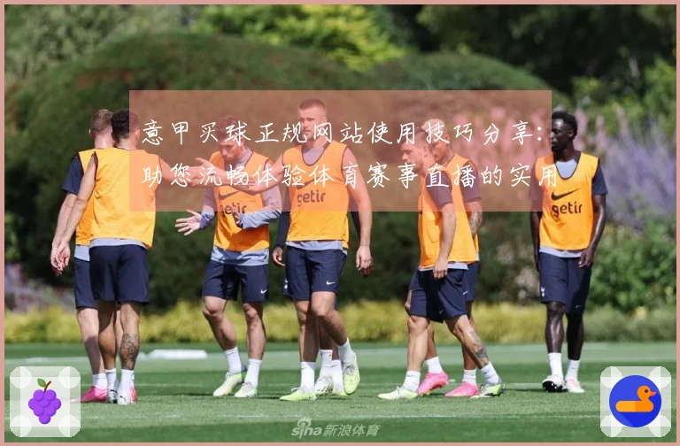 意甲买球正规网站使用技巧分享：助您流畅体验体育赛事直播的实用指南