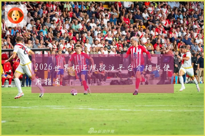 2026世界杯正规投注平台介绍与使用指南